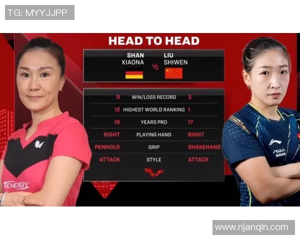 南京排球队状态回暖大满贯赛事点评与未来展望