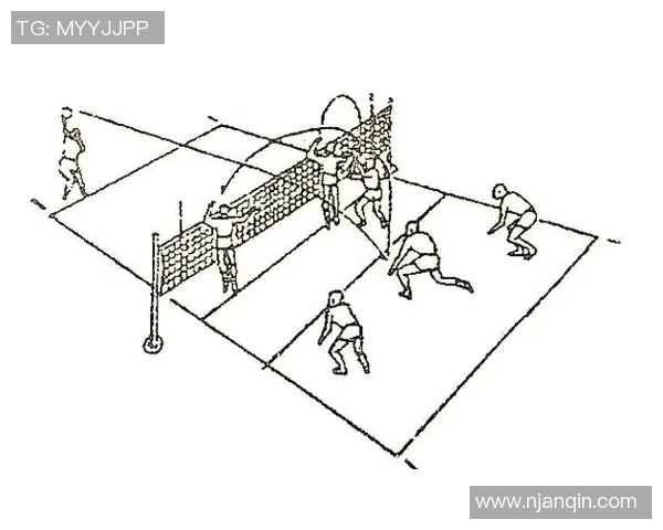 成都排球队的战术解析与控制能力深度研究