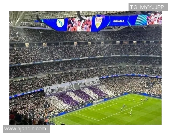 意大利足球强势出击爱沙尼亚能否迎头赶上挑战之路