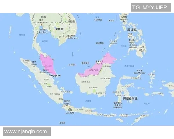 新加坡与印尼足球对决深度分析及未来比赛预测