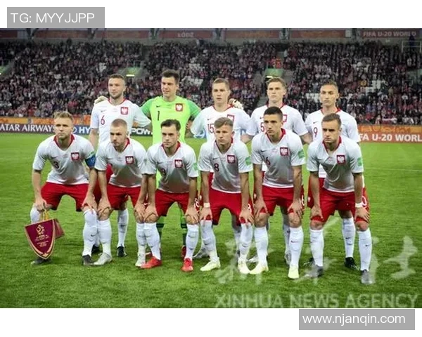 波兰与爱尔兰足球对决谁能在这场较量中胜出分析与预测