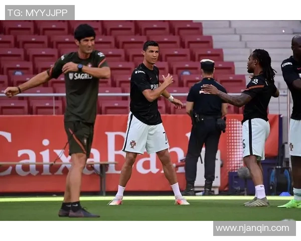 白俄罗斯与匈牙利足球对决精彩回顾与分析