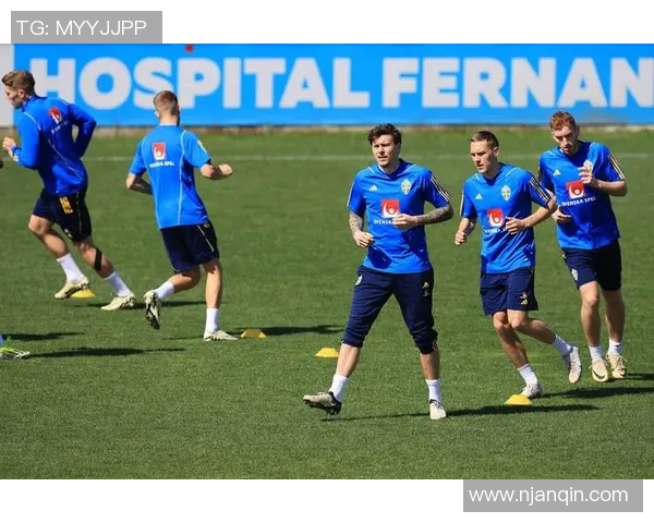 瑞典与法国足球友谊赛精彩回顾及赛后分析六月份的对决 瑞典与法国足球友谊赛精彩回顾及赛后分析六月份的对决