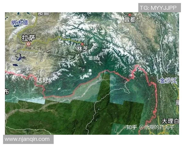 阿联酋与泰国的较量结果揭晓谁将赢得这场激烈对决 阿联酋与泰国的较量结果揭晓谁将赢得这场激烈对决