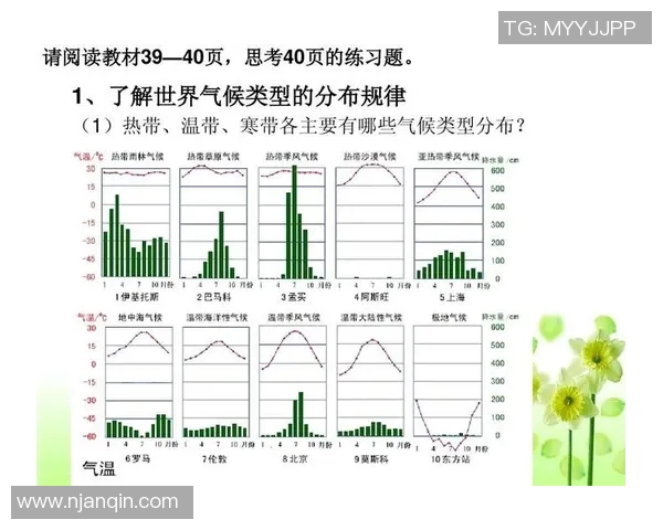 泰国与新加坡气温对比分析探讨热带气候的异同与影响